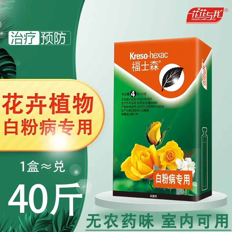 拍二发三 长寿花月季白粉病专用杀菌剂 无药味植物室内通用杀菌药