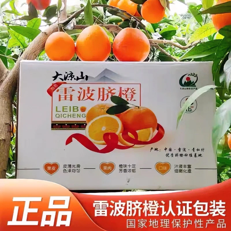 正宗大凉山雷波脐橙纽荷鲜多汁小孩孕妇维生素水果新鲜包邮非赣南