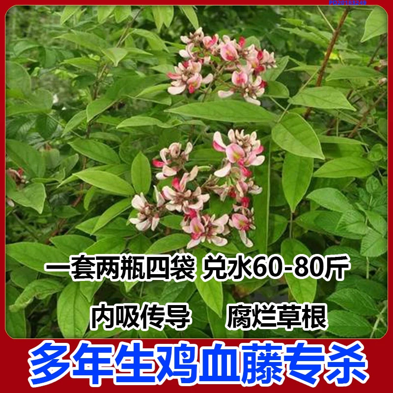 鸡血藤除草剂鸡血藤专杀藤类杂草除草剂三氯吡氧乙酸多种乳油助剂