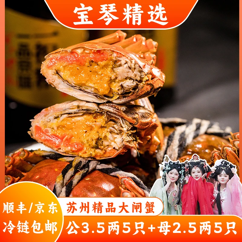 亨欣苏州精品大闸蟹 公3.5两*5 母2.5两*5 十只礼盒装