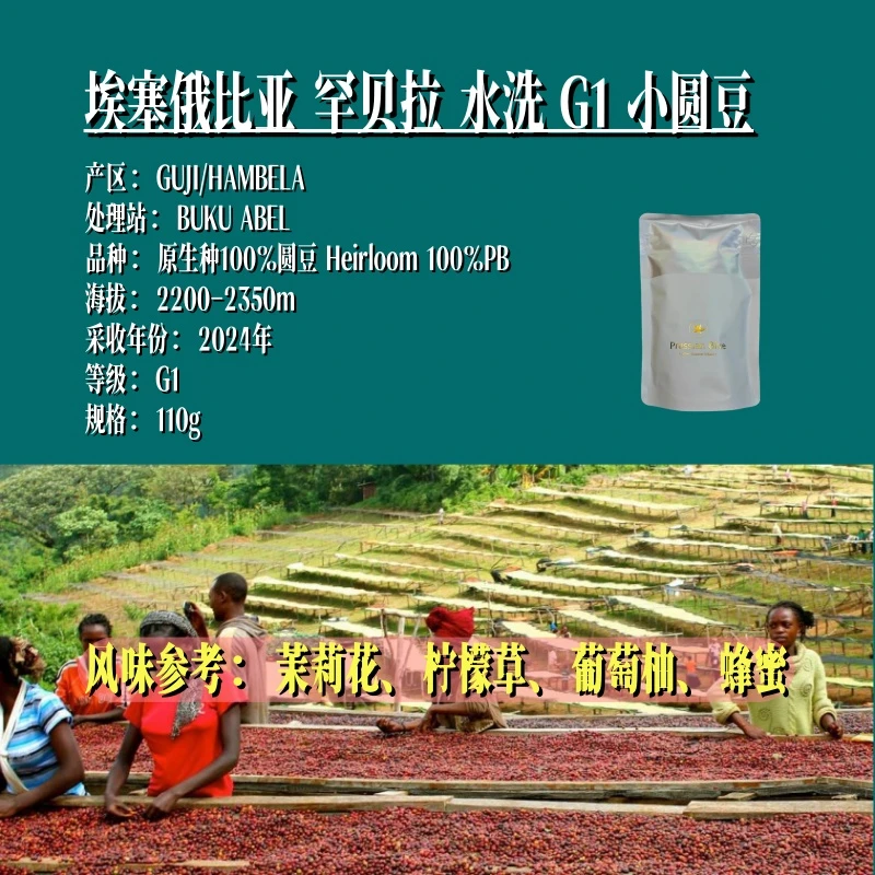 <小肯尼亚>埃塞俄比亚,罕贝拉.水洗.小圆豆,浅烘精品咖啡豆