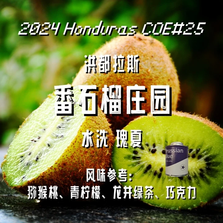 <洪都拉斯竞拍豆>洪都拉斯.番石榴庄园.水洗.瑰夏.精品咖啡豆