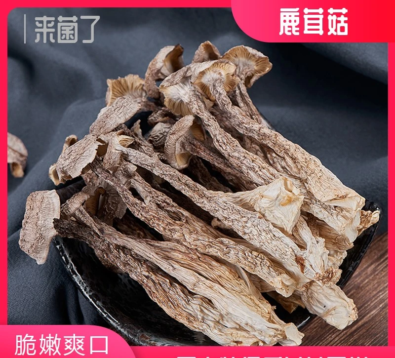 【大号】鹿茸菇鹿茸菌土特产煲汤靓料250g/500g爽口脆嫩
