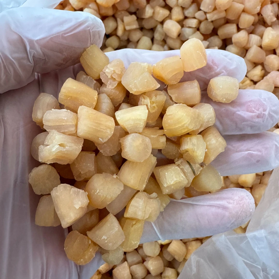 干贝 大连干贝淡干 海味特产 干度好炒菜必备250g/500g