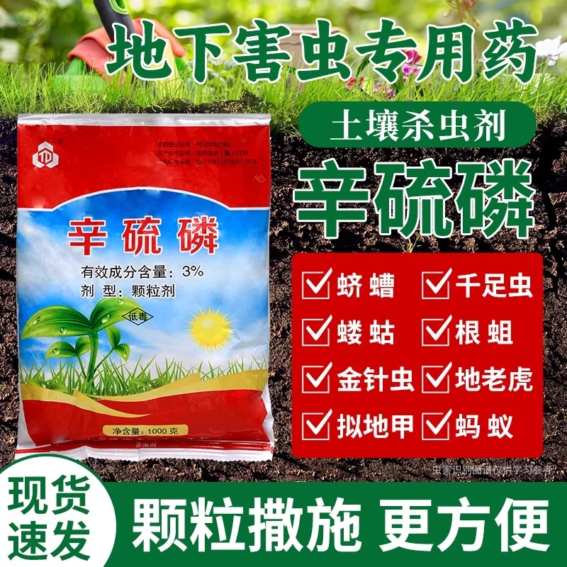 土壤杀虫剂蛴螬地老虎蝼蛄千足虫卵双杀辛硫磷颗粒剂地下害虫专用