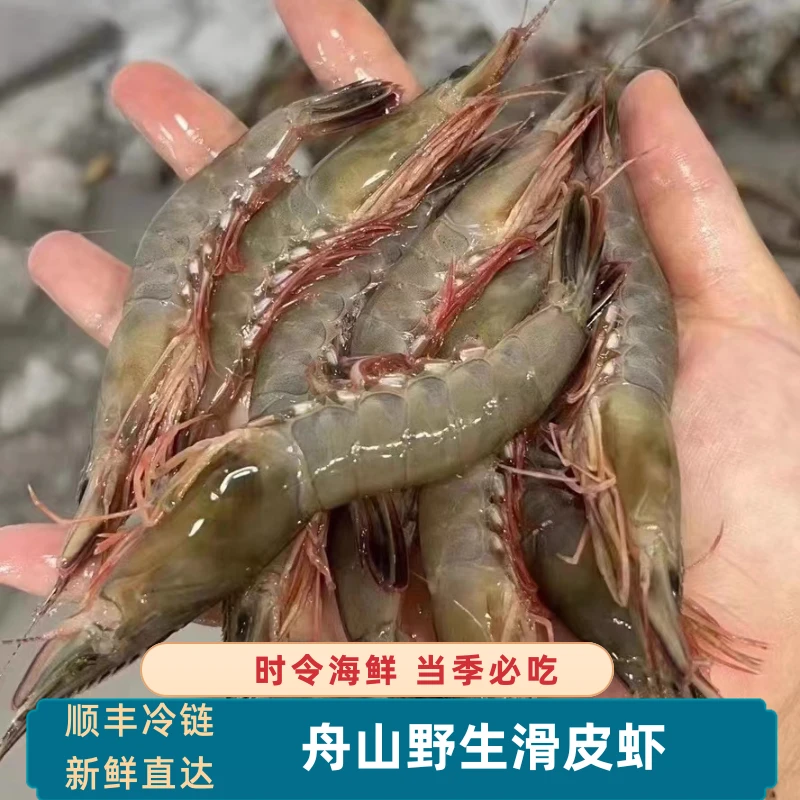 舟山东海新鲜码头青壳滑皮虾硬壳虾金钩虾鲜活海鲜冷冻小船货发货