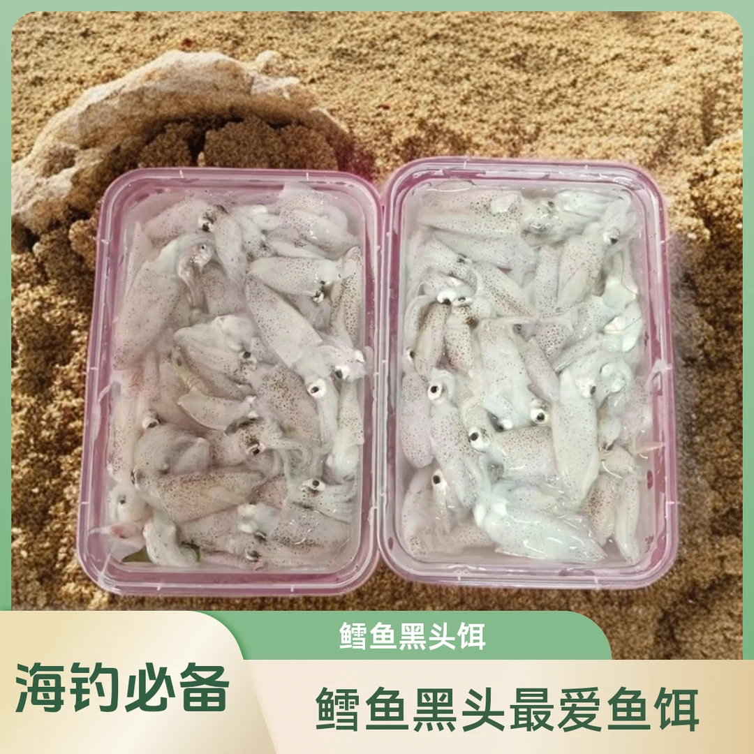 海钓鱼饵鳕鱼黑头最爱鱼饵海兔子