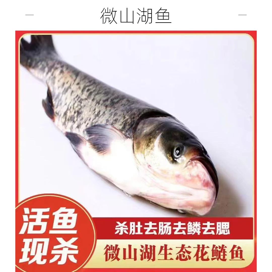微山湖胖头鱼花莲鱼鱼头鲜活现杀新鲜冷冻包邮