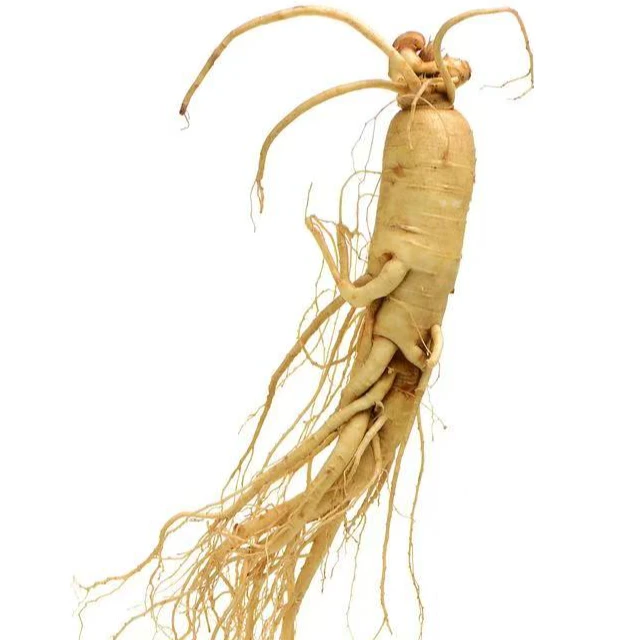 长白山人参（微瑕）改价链接 一物一拍 以直播间实物为准