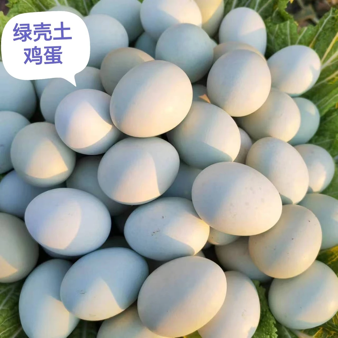 农村散养土鸡蛋 绿壳乌鸡蛋