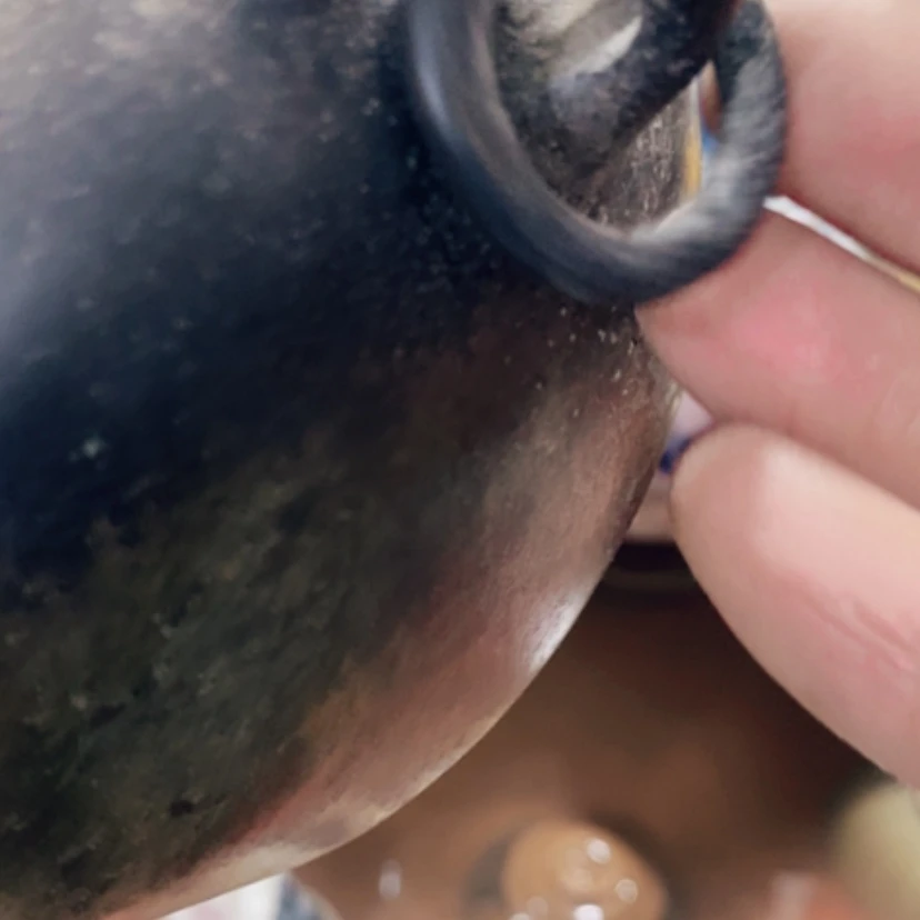 【闪购商品】密胺摆件Z****3