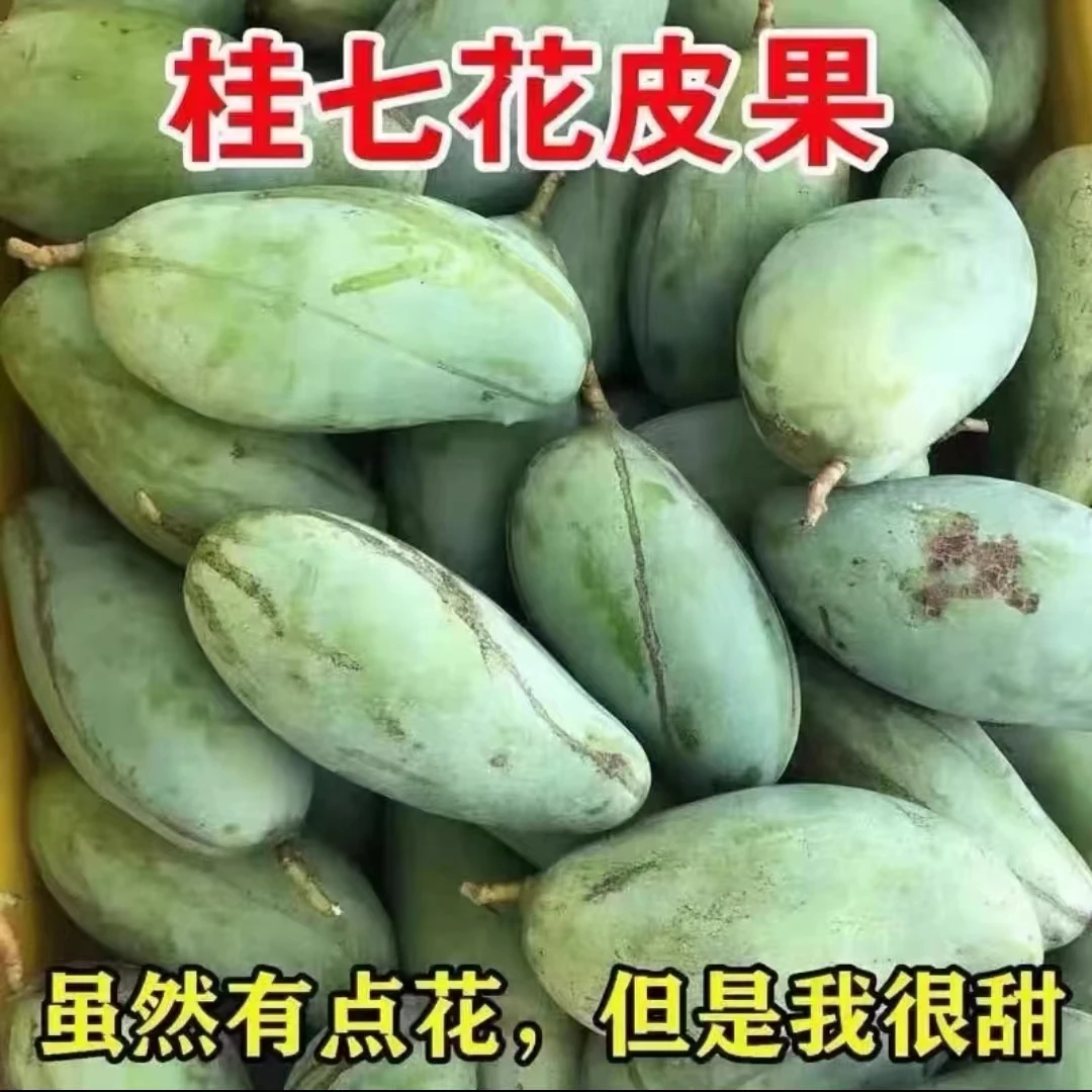 【花桂七】正宗广西百色田东老树花皮桂七芒果新鲜果园直发