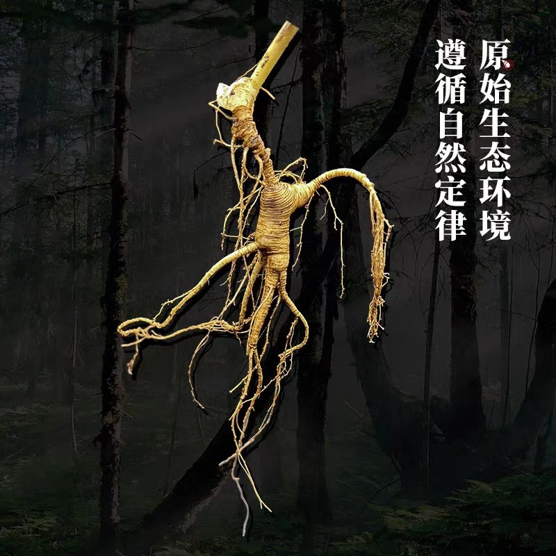 林下籽参补差价链接