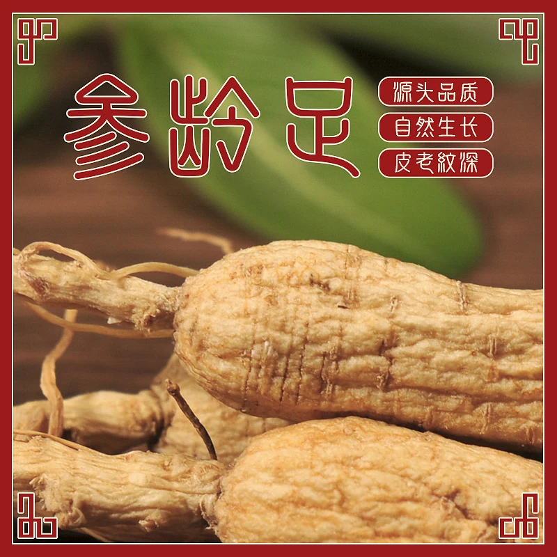 8-12年东北人参泡酒煲汤泡参水组合