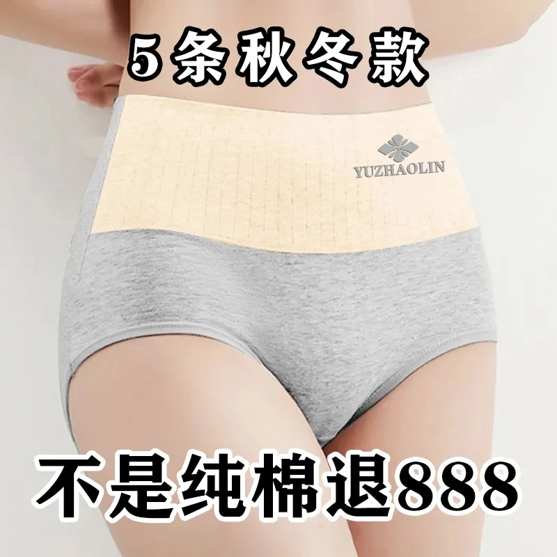 棉质底裆高腰内裤女士收腹无痕提臀抑菌大码胖mm三角短裤头