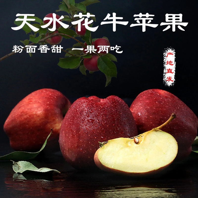BIGUOYUAN/碧果园甘肃花牛苹果原产地新鲜应季吃2斤5-8高山果