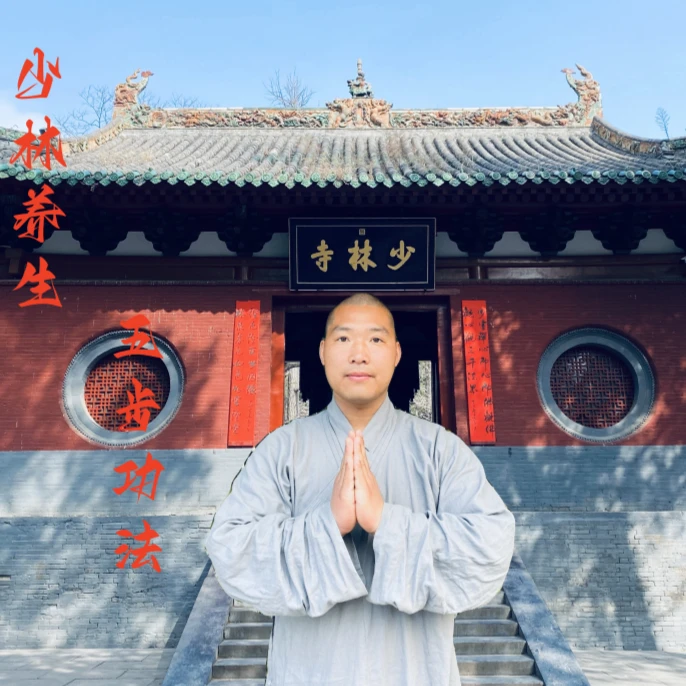 少林（五部功法）（留意短信解锁课程）