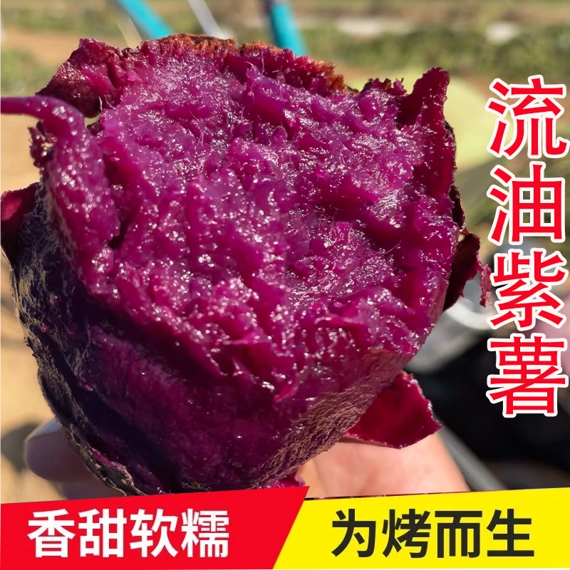 【9斤/5斤】流蜜糖心紫美人紫薯蜜薯新品种番薯新鲜烤薯店新品3斤