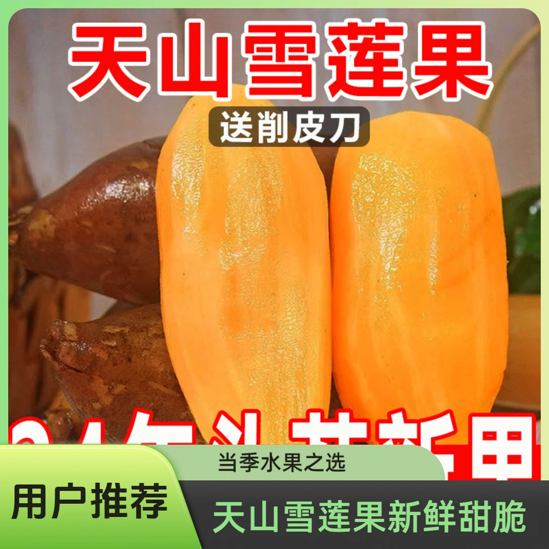 【云南天山雪莲果】新鲜水果黄心脆甜多汁现挖现发