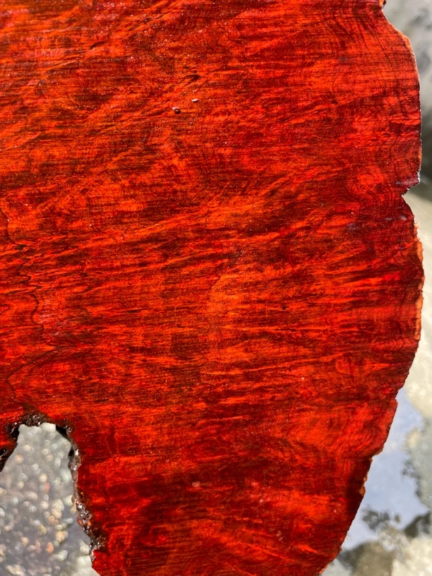 印度小叶紫檀原料定制加工龙鳞瘤疤水波金星老料