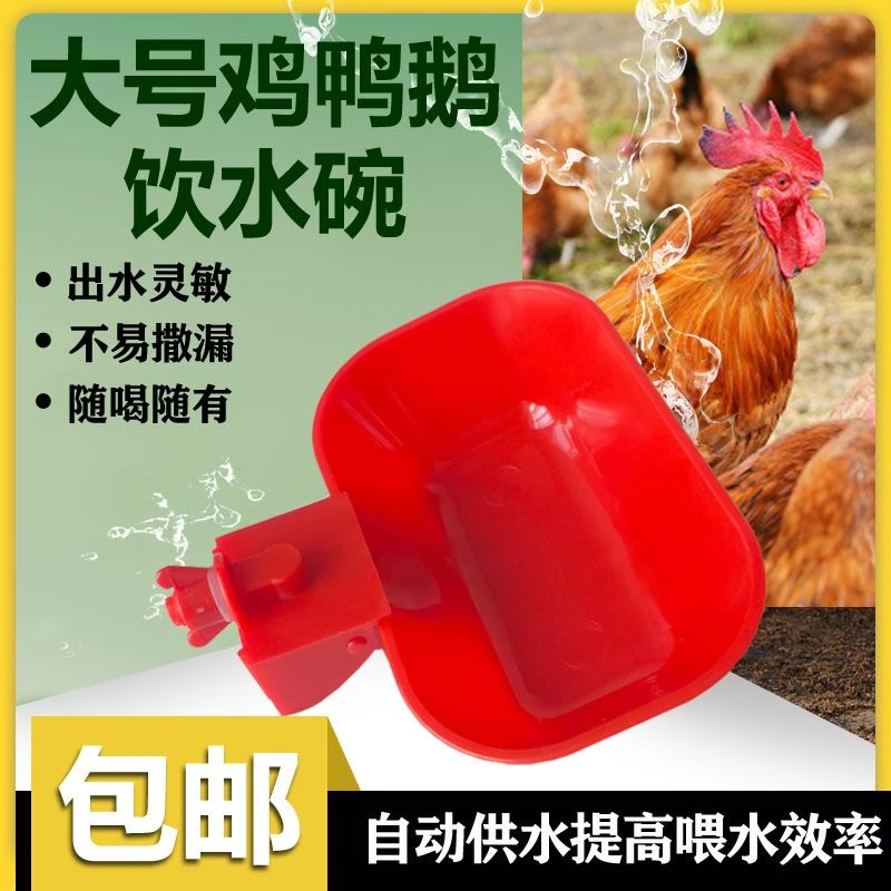 新款特大号鸡鸭鹅自动饮水碗喂水器加大加厚家禽宠物猫狗兔用水碗