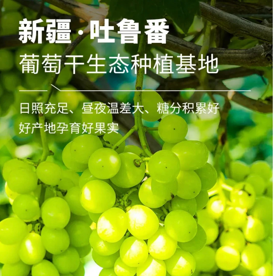 【蔚巧园】2023年新货 新疆无核彩虹葡萄干 250克/4袋 到手2斤