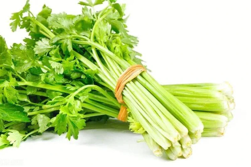 带根芹菜 450g±20g/kg