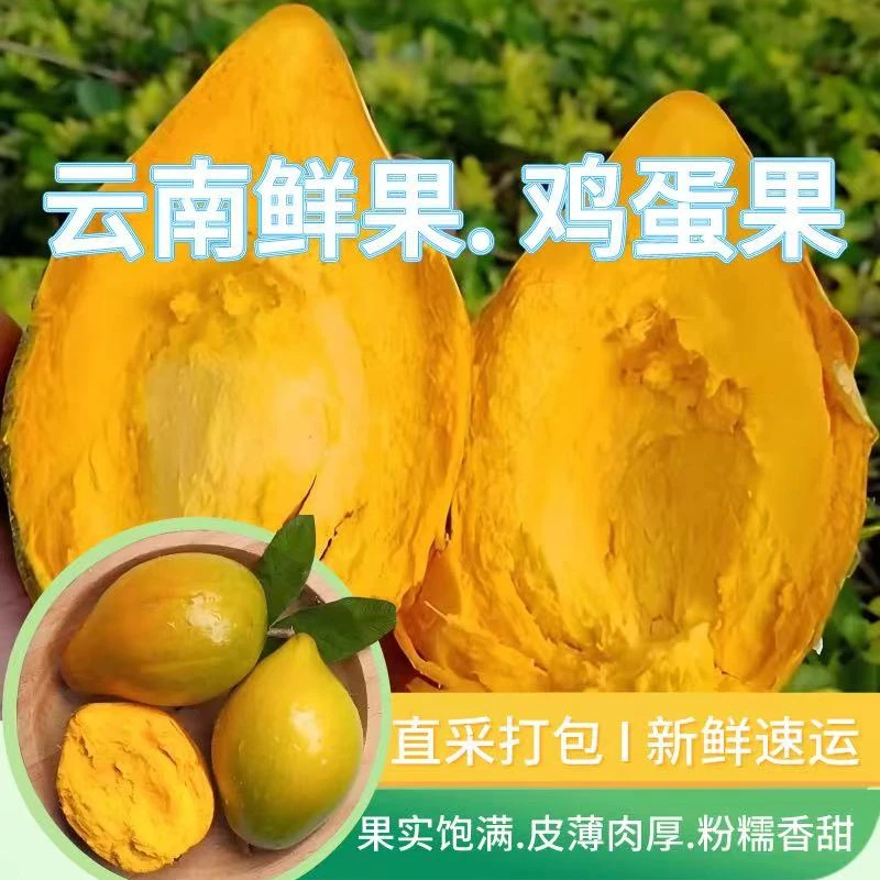 【老树果】云南蛋黄果鸡蛋果热带新鲜水果软糯香甜1-5斤整箱包邮