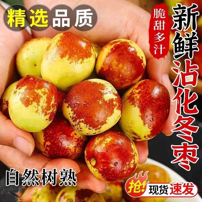 【冰糖冬枣】山东沾化果园现摘脆甜新鲜水果应季当季整箱红枣子批发