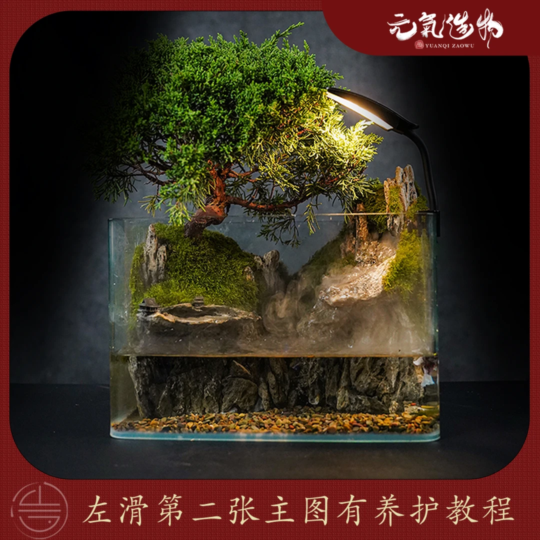 （山水之间）雾-隐—带灯流水雾化济州真柏真植物【尺寸：30*18*20】