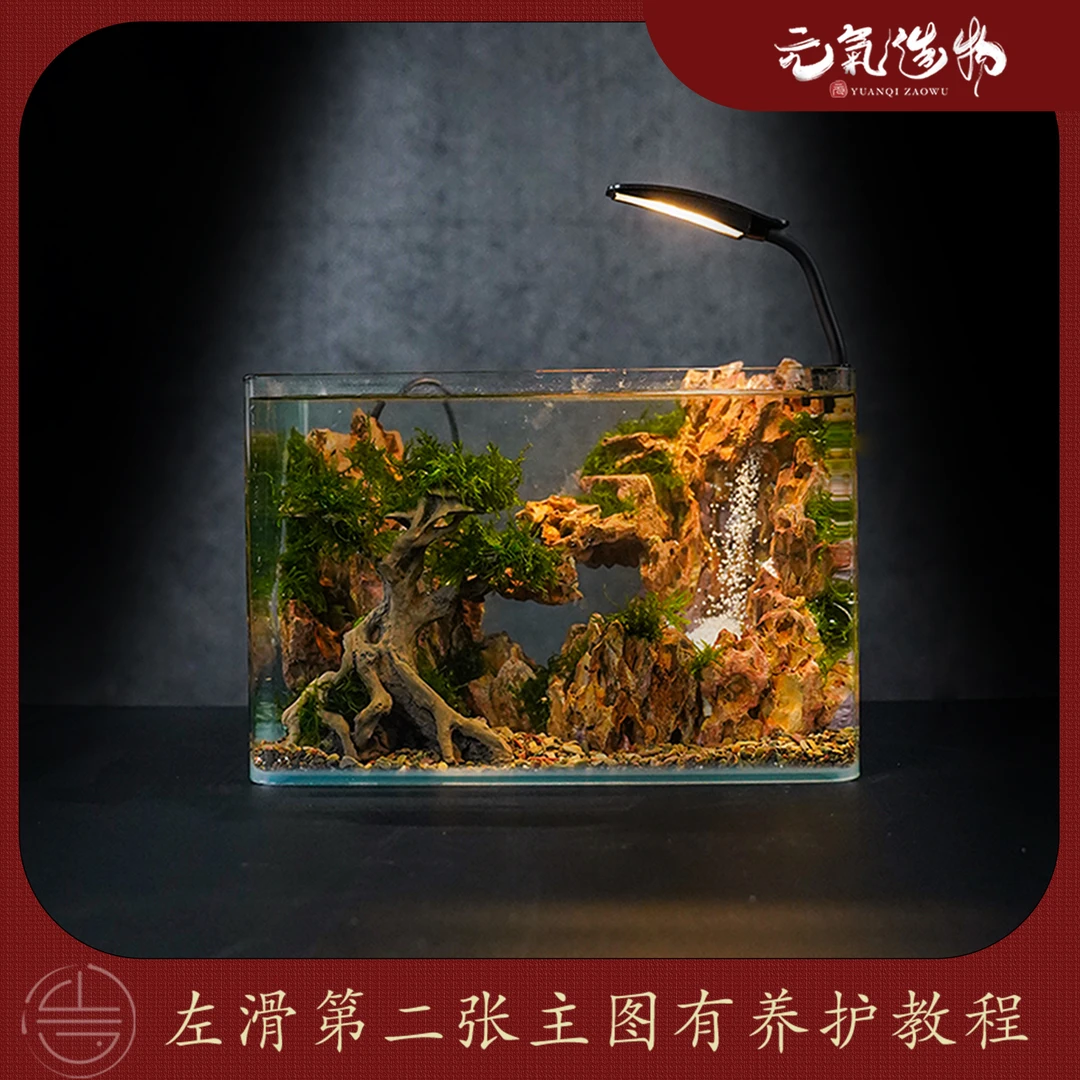 【仙】流沙瀑布—带灯苔藓绿植造景成品真植物【尺寸：30*18*20】