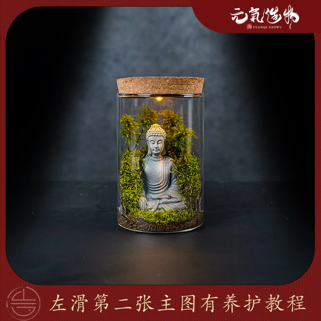 【仙】禅—万年藓绿植造景成品真植物【尺寸：10*15】