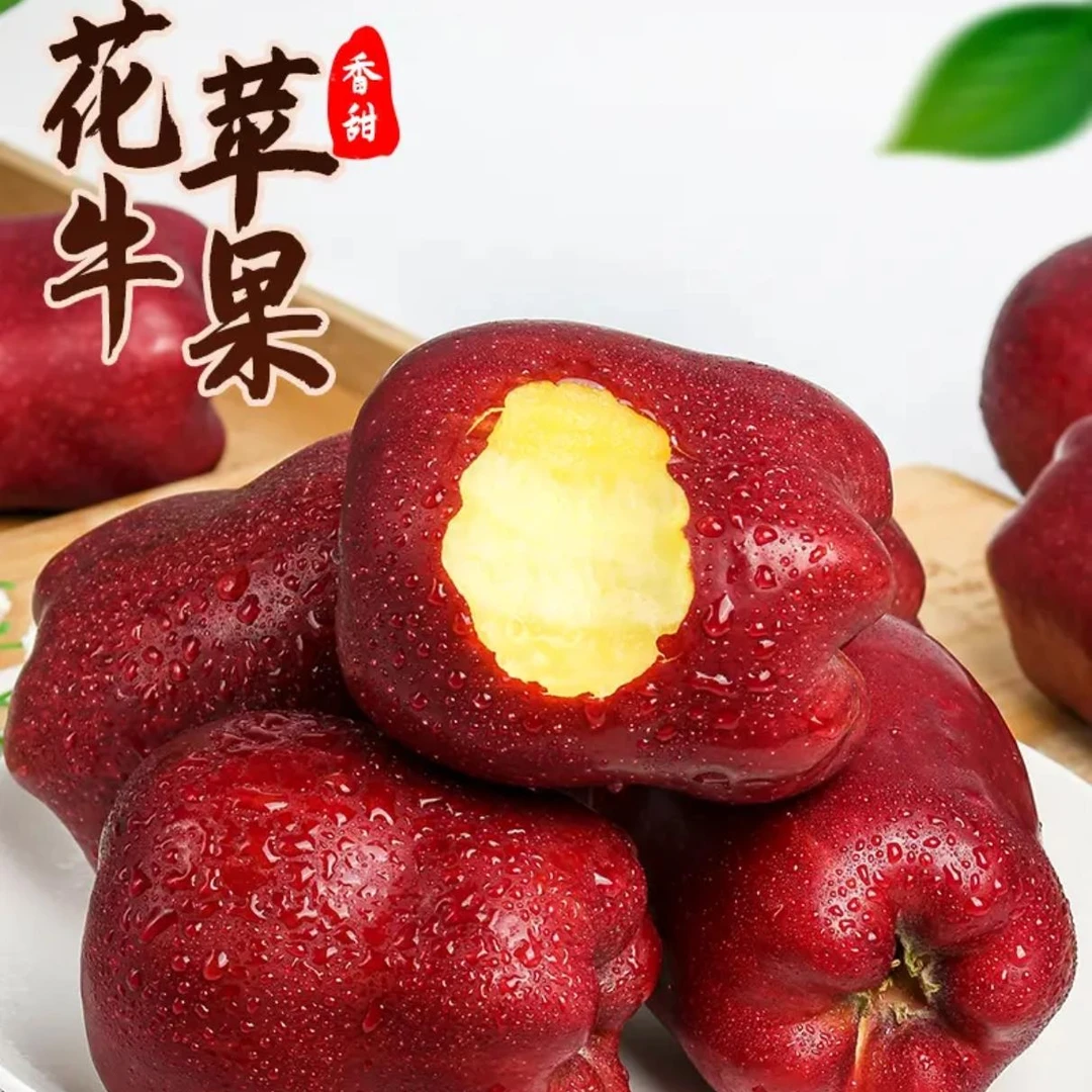 甘肃特产天水花牛苹果蛇果高山种植辅食老人孕妇刮泥脆粉两吃包邮