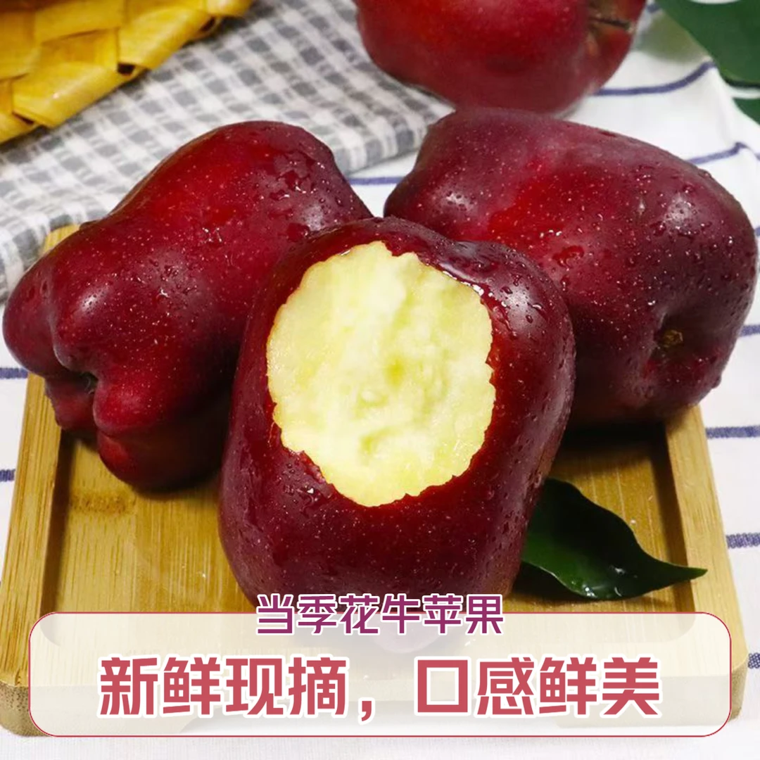 【脆粉两吃】甘肃天水花牛苹果蛇果品种当季水果现摘现发精品果包邮