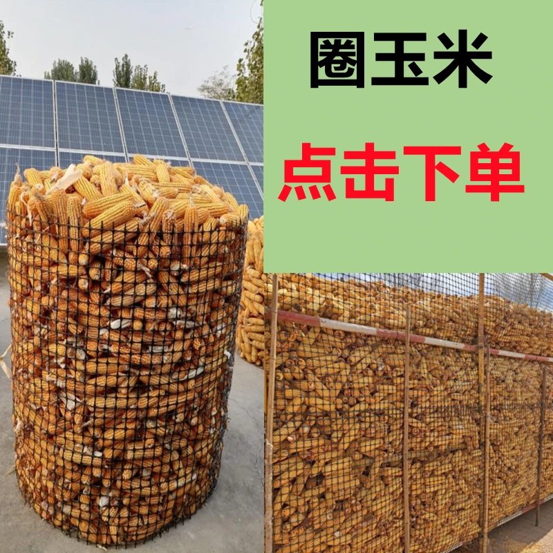 塑胶围栏网养殖网鱼塘隔离防护网户外果园菜园圈地拦鸡网圈玉米网