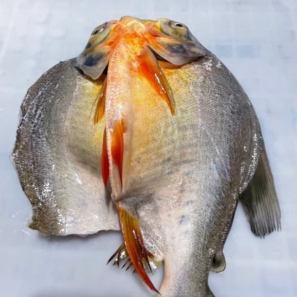 【张兵土特产】自己腌制罗非鱼鲳鱼