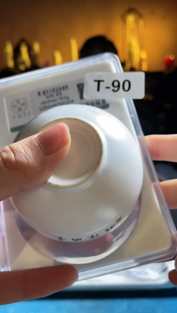 【闪购商品】密胺碗T90