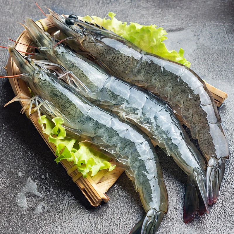 【小月推荐】野生大海虾海洋大虾净重3斤 30/40鲜虾速冻 只只分离