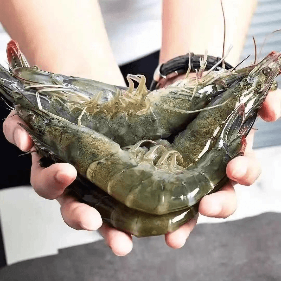 【巨鲸甄选】30/40海洋大虾净重3斤 鲜虾速冻 只只分离 顺丰冷链