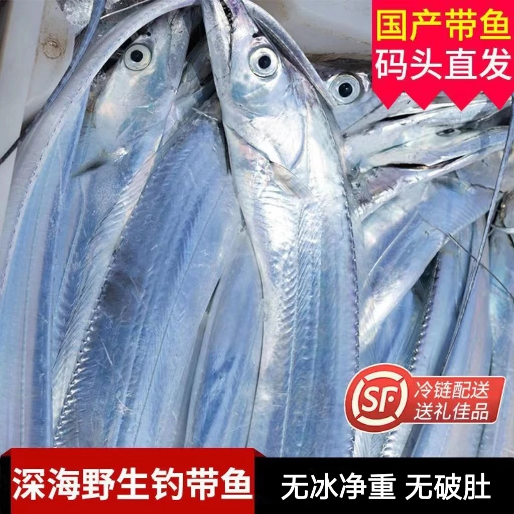【小月推荐】16条 海钓带鱼整条新鲜速冻黄海小眼油带鱼 3两左右/条