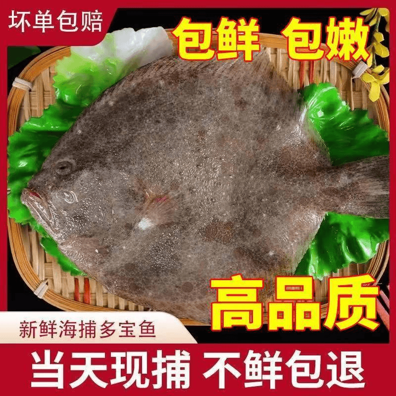 【小月推荐】鲜活速冻多宝鱼 新鲜海鲜 7-8两/条 顺丰冷链到手5条