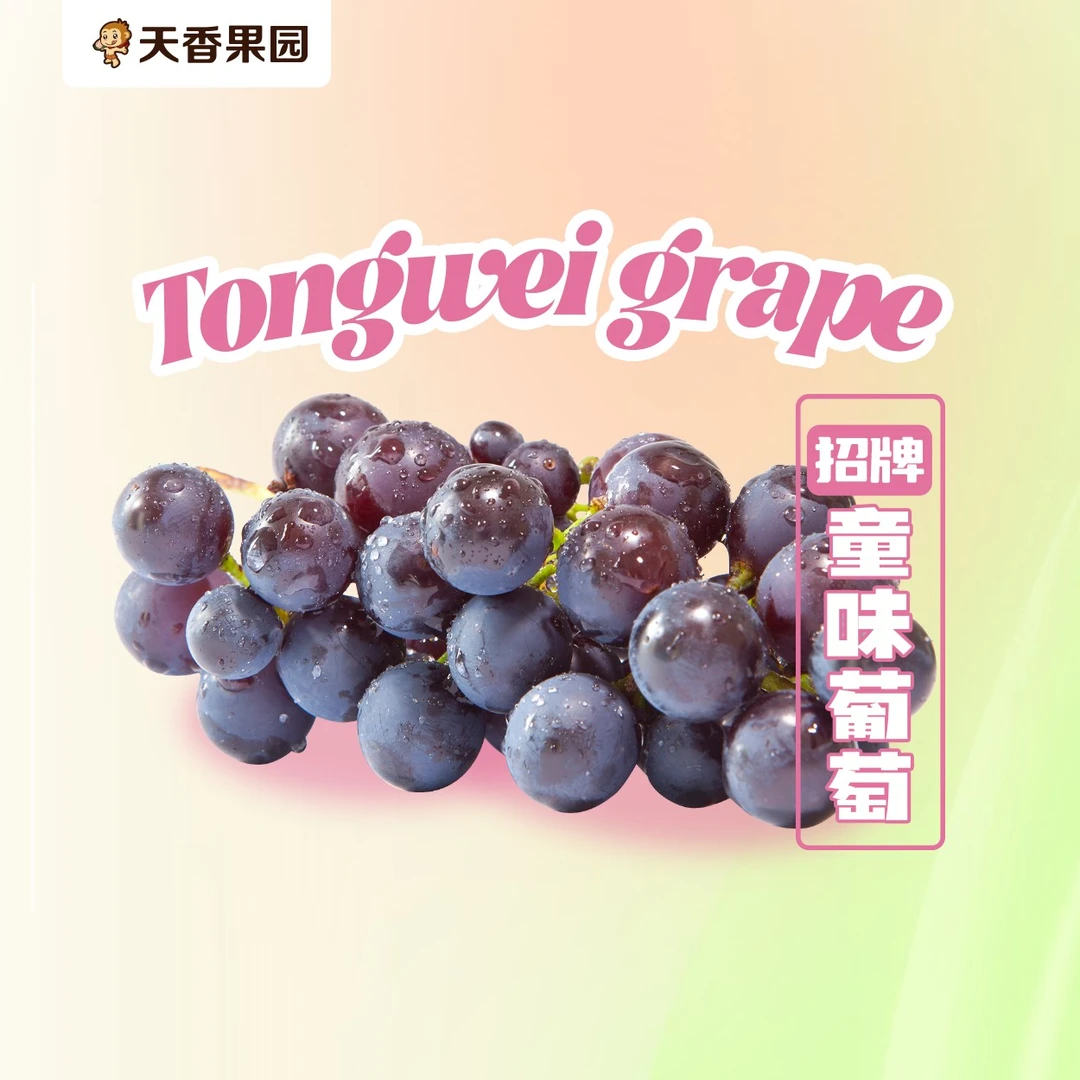 【湖北小时达】童味葡萄*1串（约400g-450g）