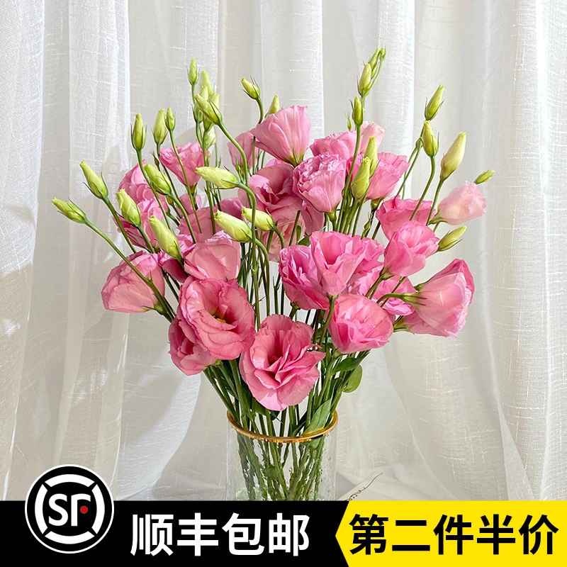 新鲜多色洋桔梗鲜花龙胆花束云南基地直发家庭办公室鲜花婚礼花材