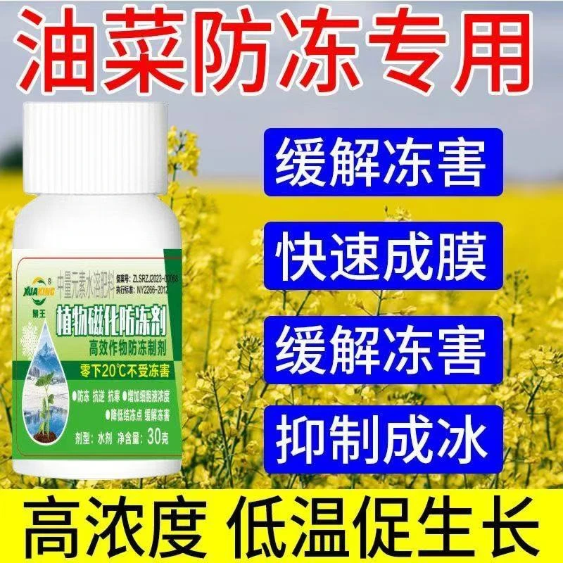 油菜抗寒防冻剂蔬菜植物防寒抗寒防冻液苗木通用农作物叶面肥