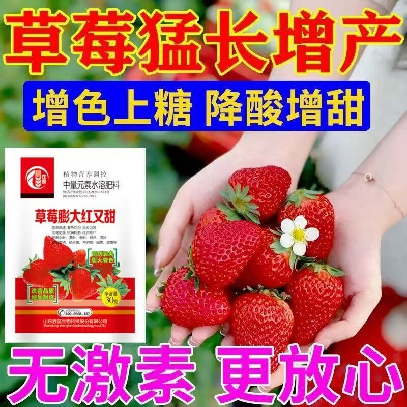 草莓膨大拉长增甜防止软果增加实心增花保果预防畸形抗病叶面肥