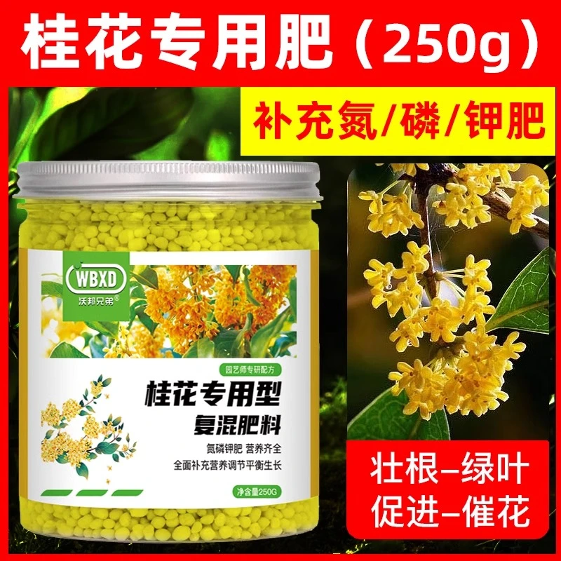 桂花树肥料专用肥绿植促花颗粒缓释肥养花种花营养复合肥盆栽通用