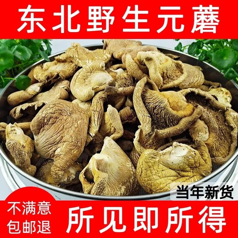 东北野生元蘑冻蘑