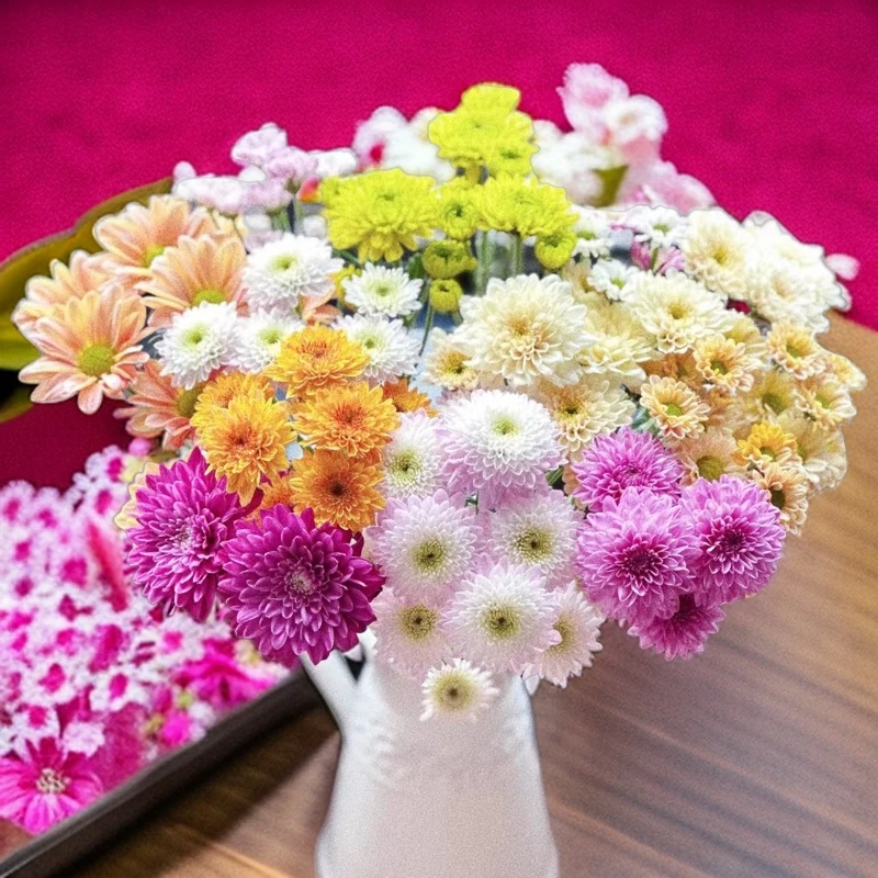 小雏菊鲜花   云南鲜花基地直发花期长耐养   顺丰冷链包邮