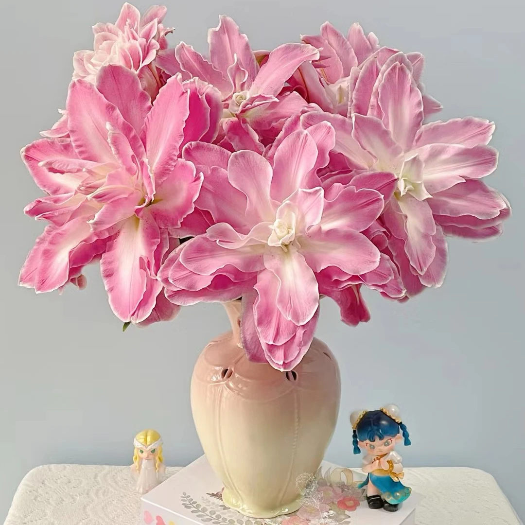 【莲花仙子】重瓣香水百合鲜切花云南昆明基地直发日常家居教师节花