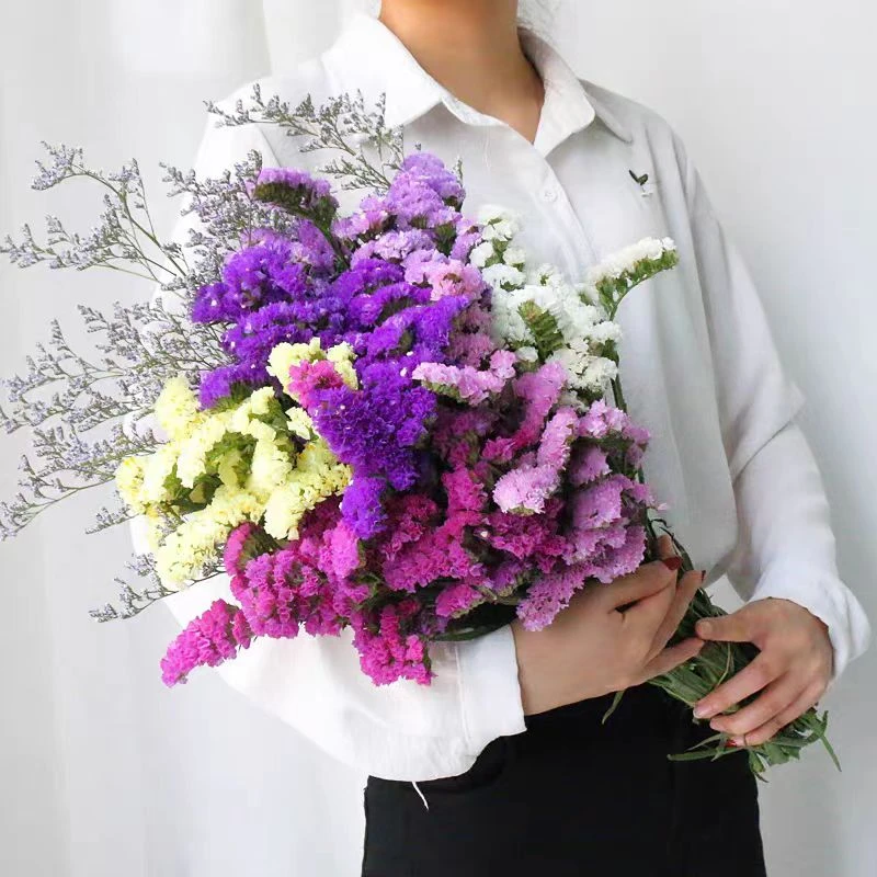 鲜花勿忘我基地直发混搭勿忘我Diy手工花束母亲节生日鲜花永生花